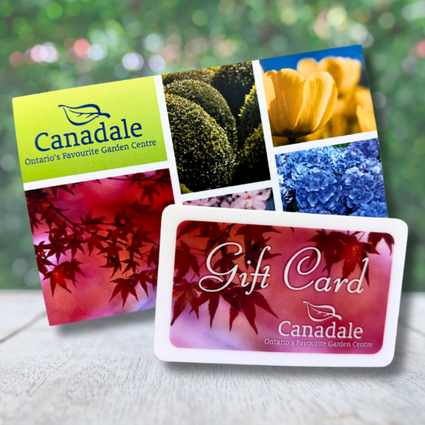 Canadale Gift Card