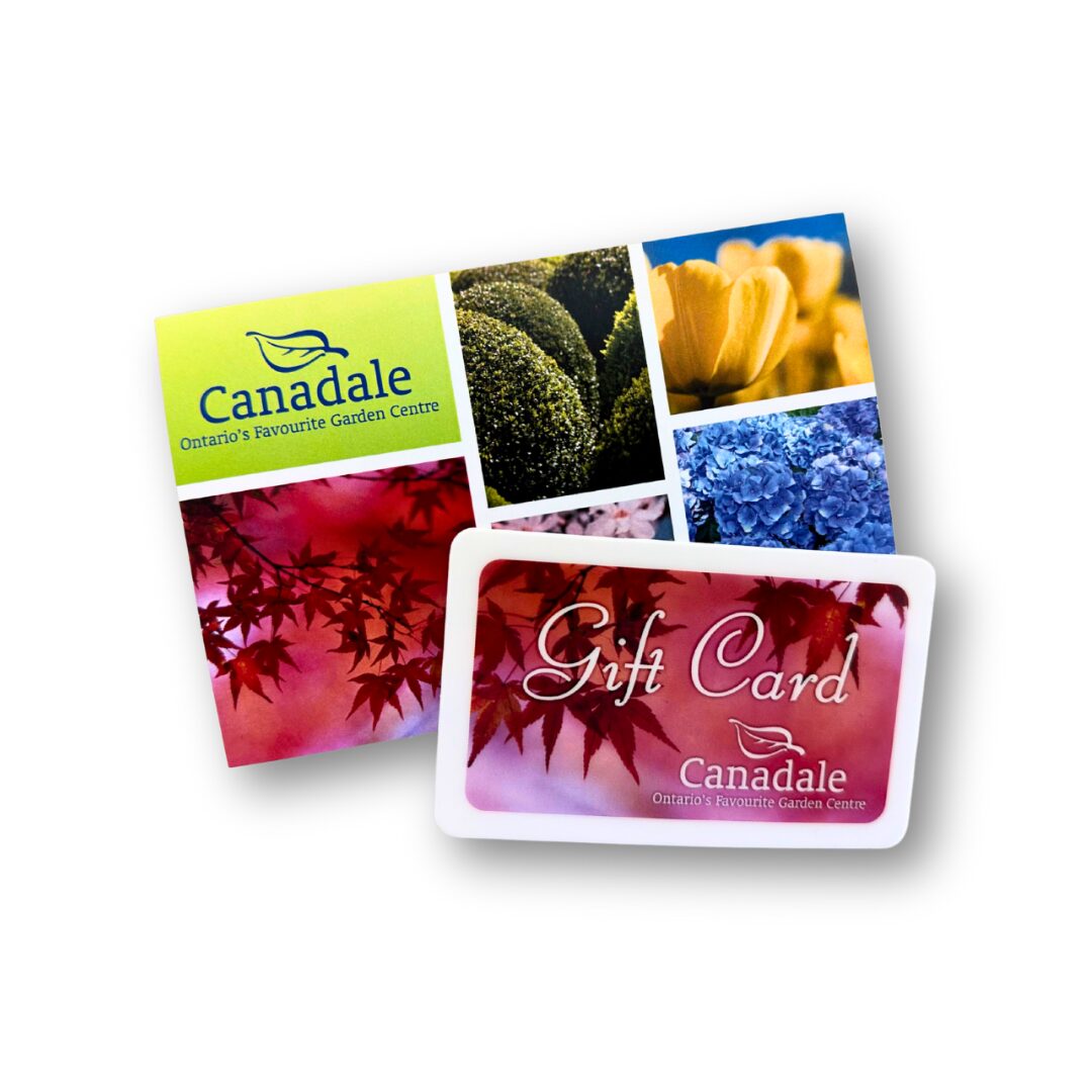 canadale gift card