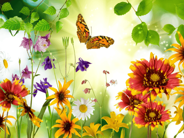 butterfly flying in a flower garden