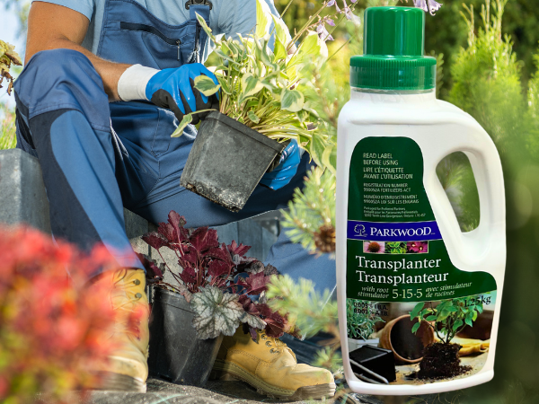 transplanter fertilizer bottle with man in background planting new perennials