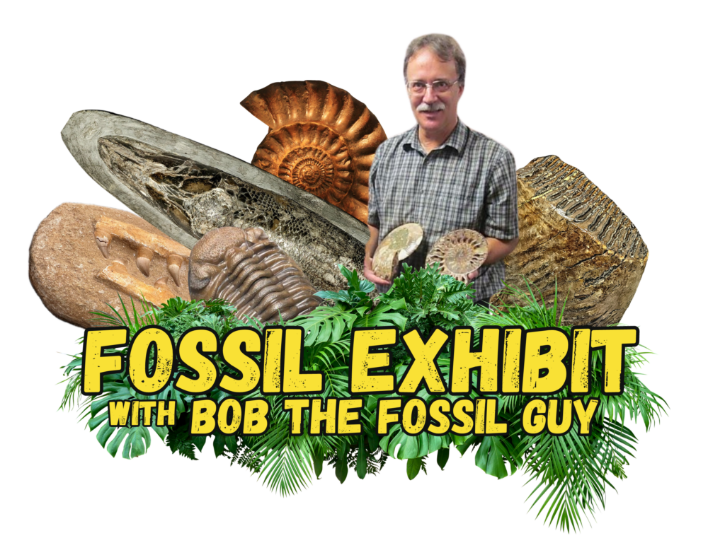 Fossil Exhibit