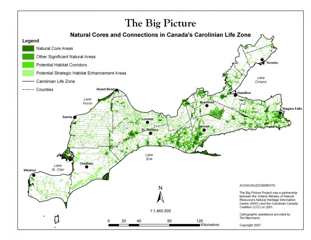 Canada's Carolinian Zone