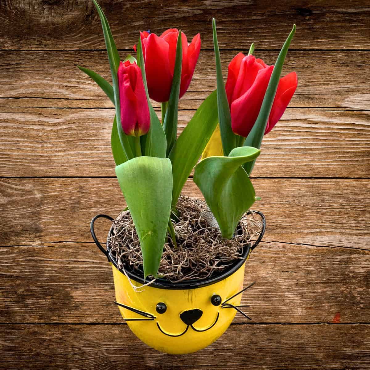 Spring Arrangements - Image 4