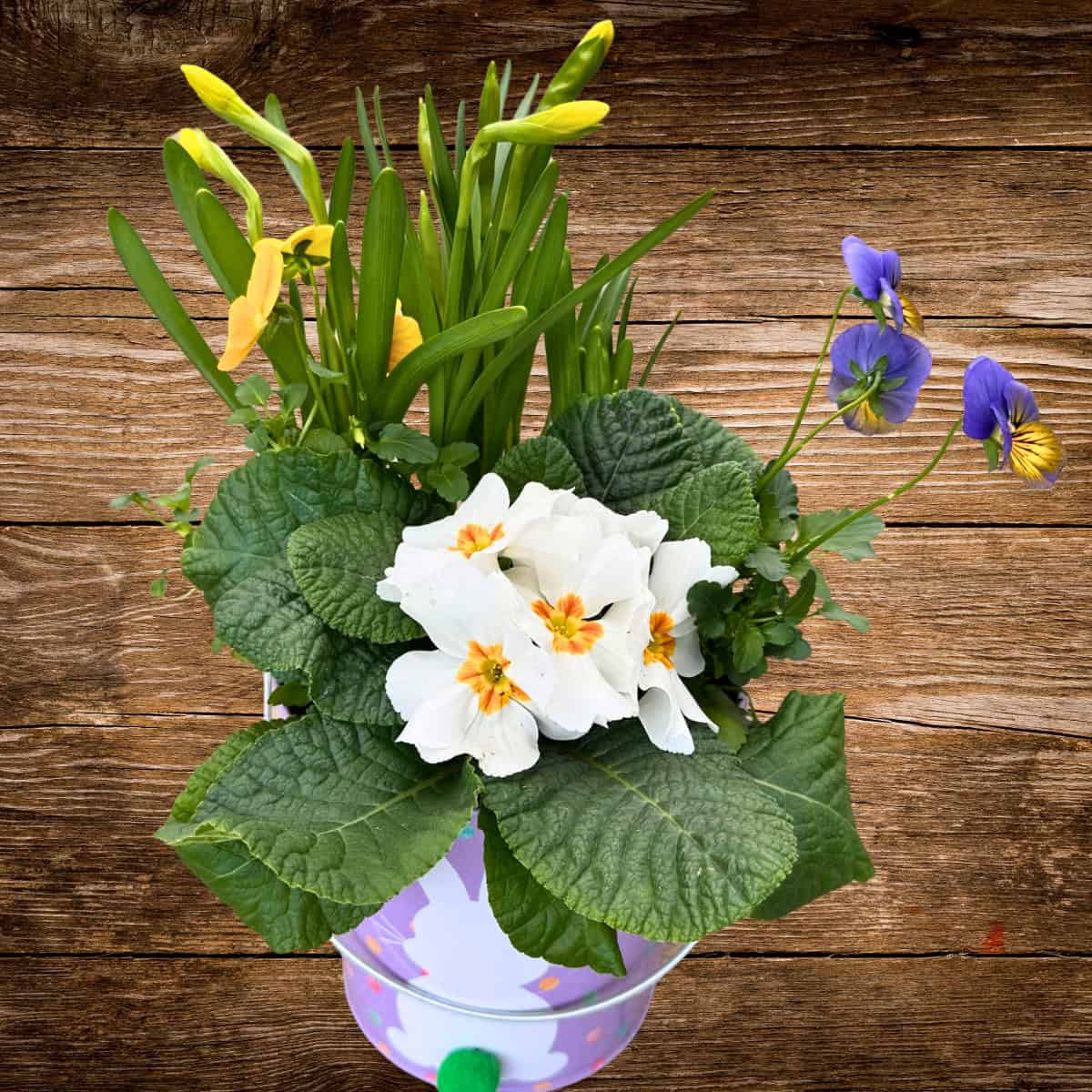 Spring Arrangements - Image 2
