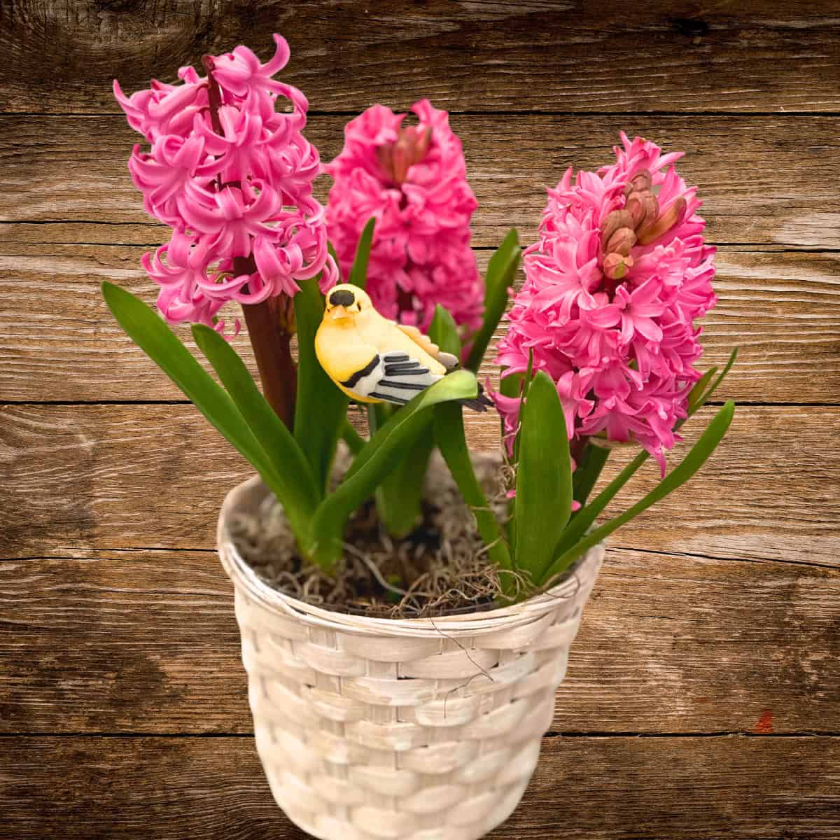 Spring Arrangements - Image 5